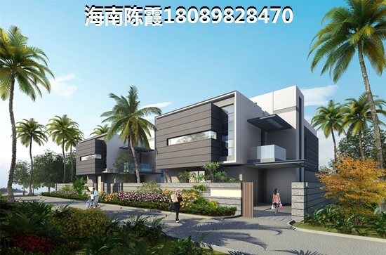 海南公寓生纸优势分析！3