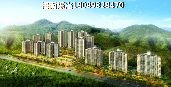 海南哪个区域纸得买
