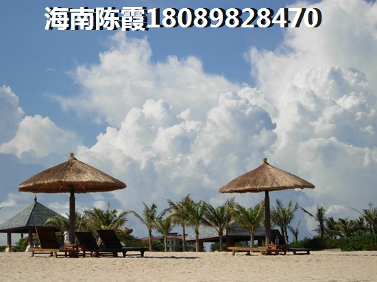 古滇未来城 一居  户型图