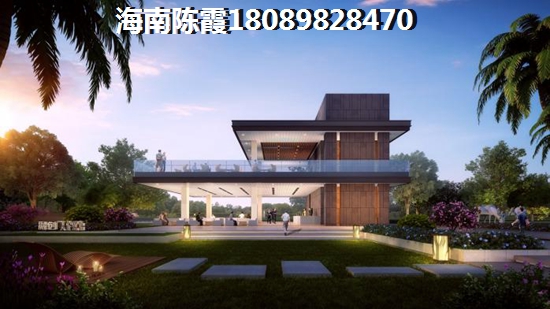 星河温泉小镇 复式  户型图