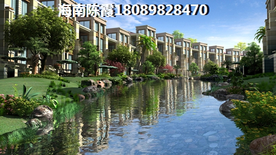 新亚洲体育城 两居  户型图