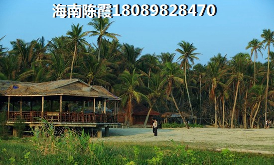 宝海明珠 一居  户型图